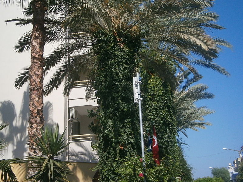 Sifalar Apart Hotel Alanya Ngoại thất bức ảnh